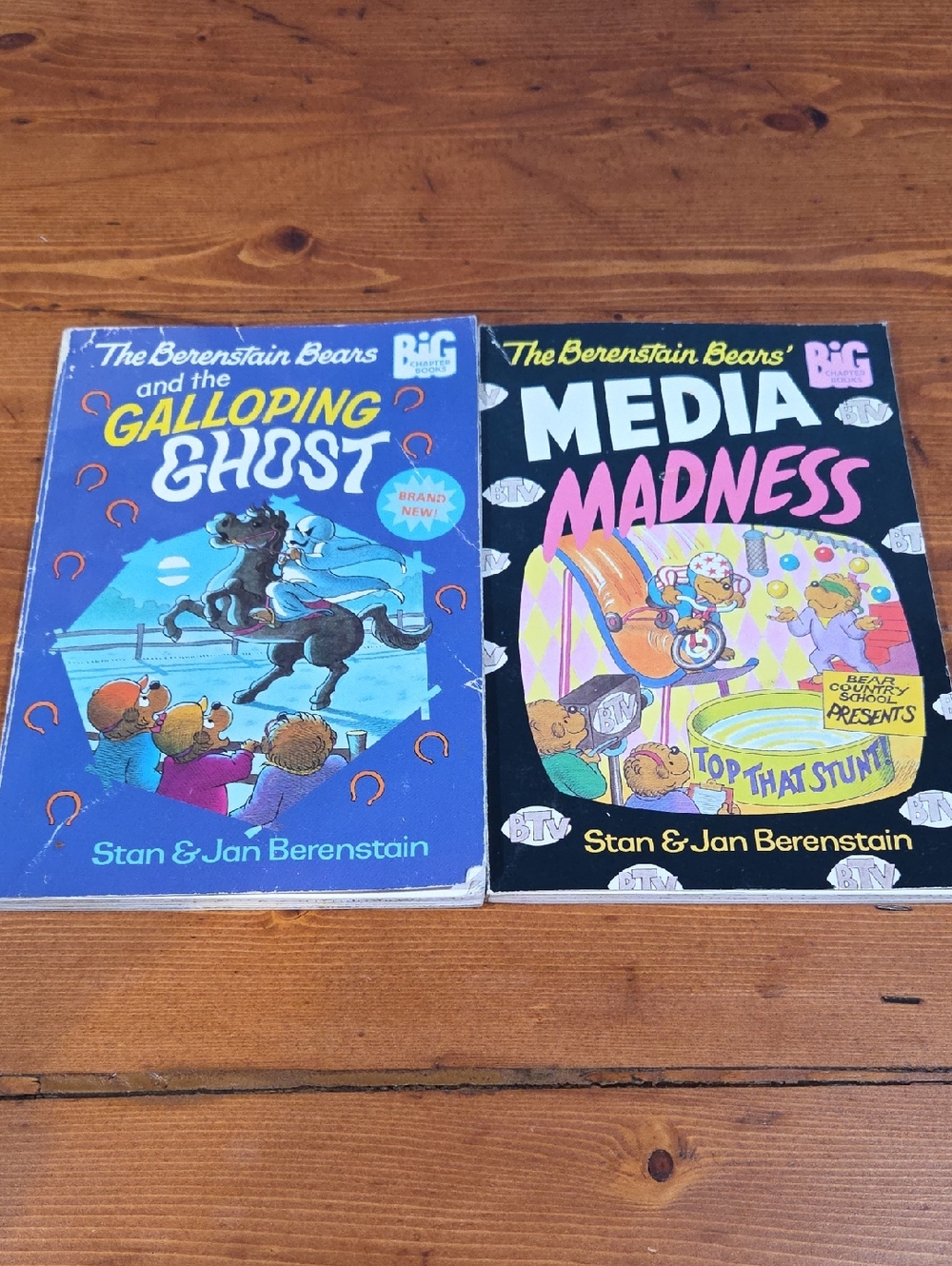 The Berenstain Bears Kids Book Set - Blue & Black Covers
